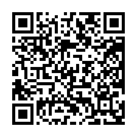 QR Code Pix
